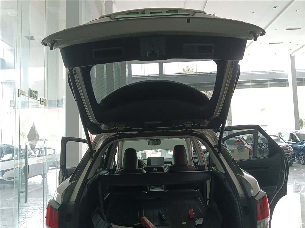 Lexus RX, 2022 15