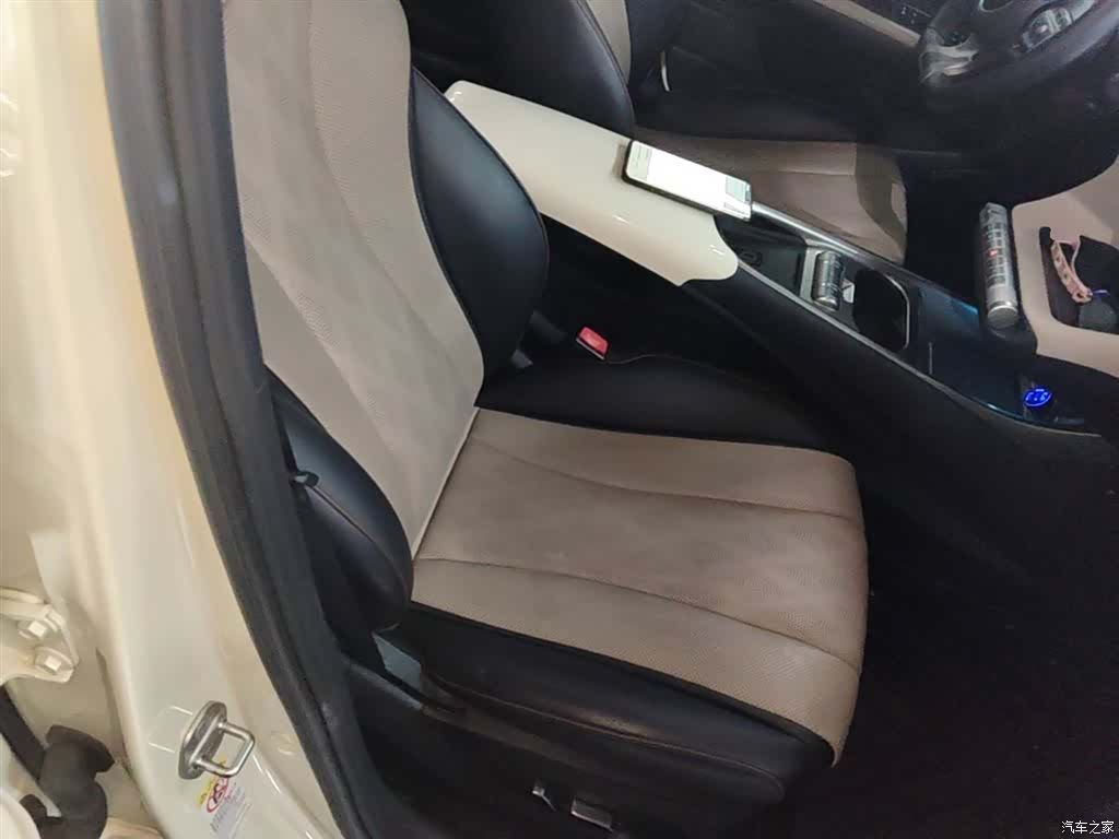 BYD Dolphin, 2024 25
