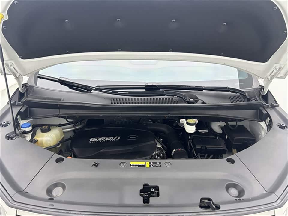 Trumpchi Trumpchi M8