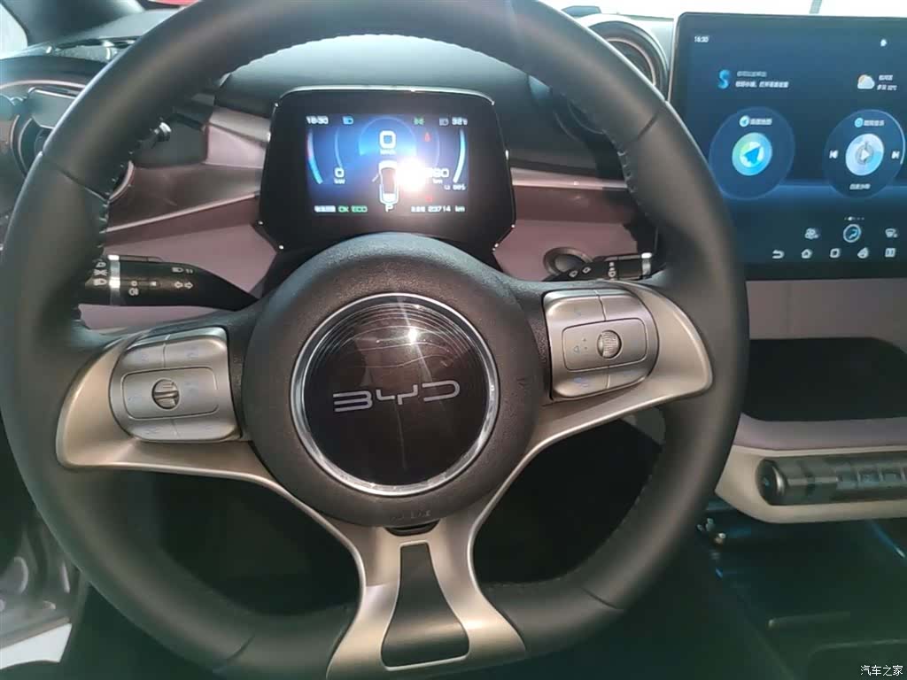 BYD Dolphin, 2021 11