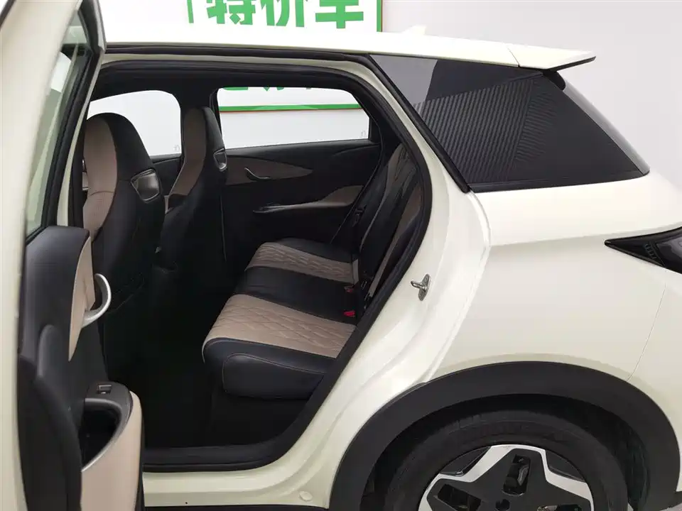 BYD dolphin