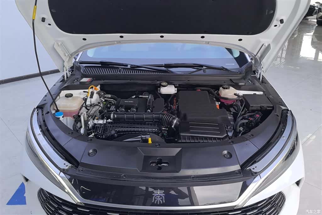 BYD Qin, 2024 10