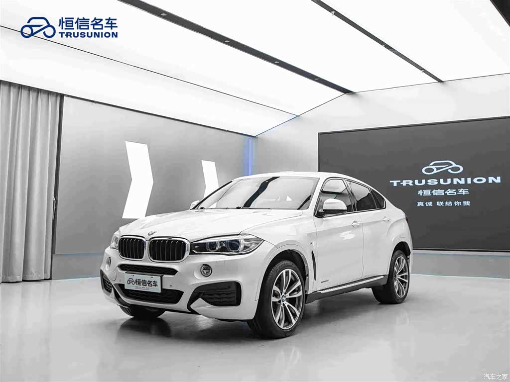 BMW X6, 2019 3