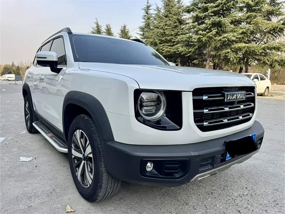 Haval Big dog