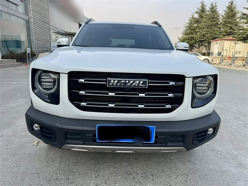 Haval Big dog
