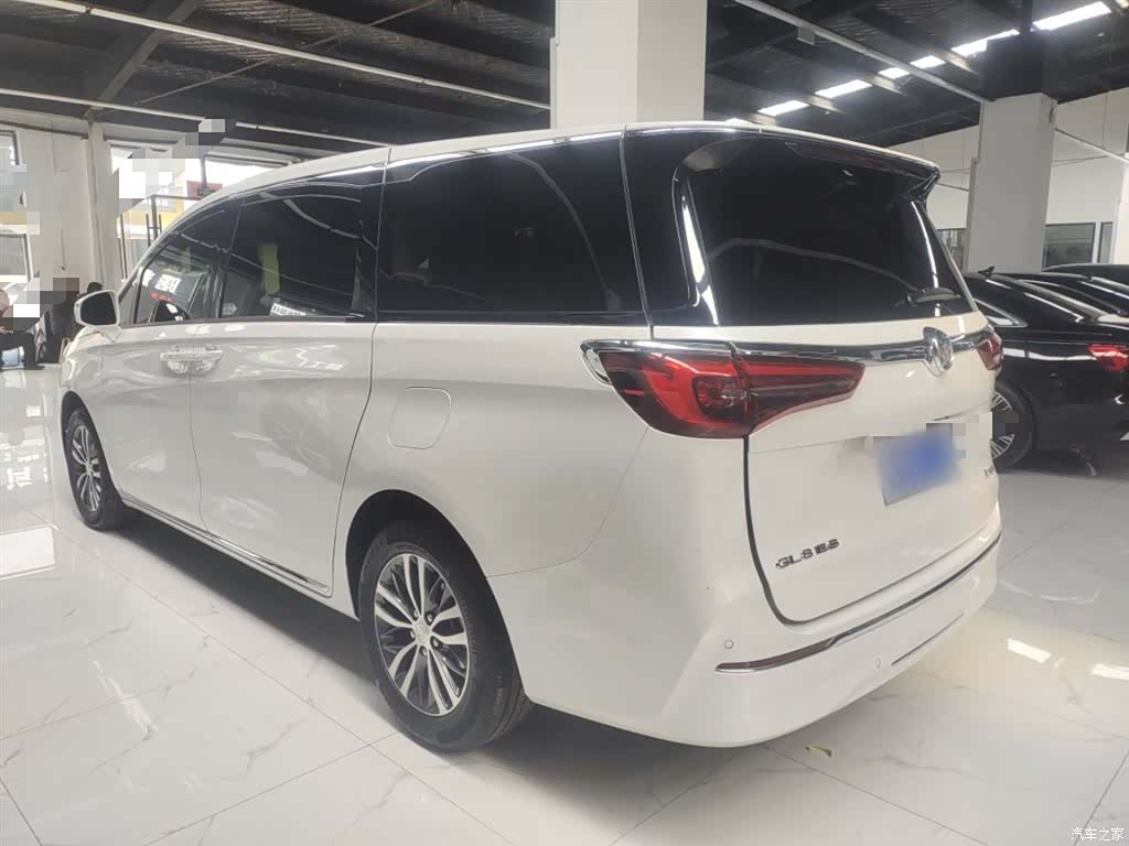 Buick GL8, 2024 все фото