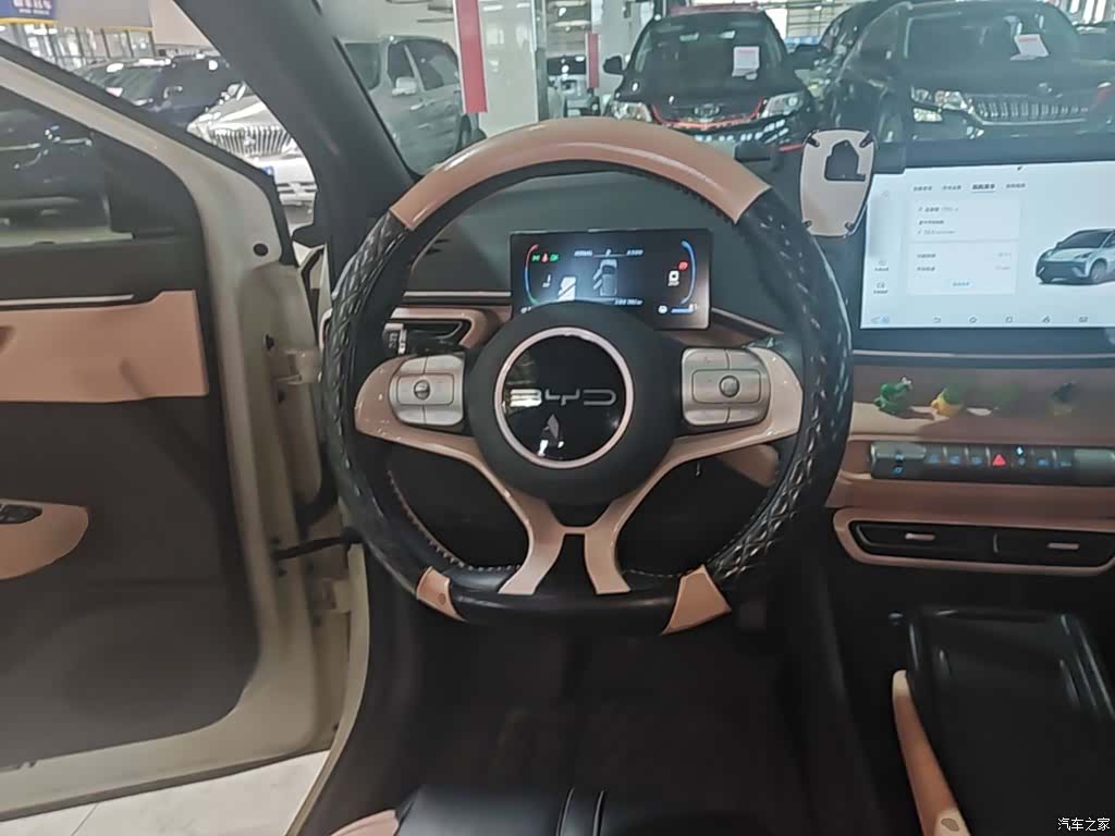 BYD Seagull, 2023 11