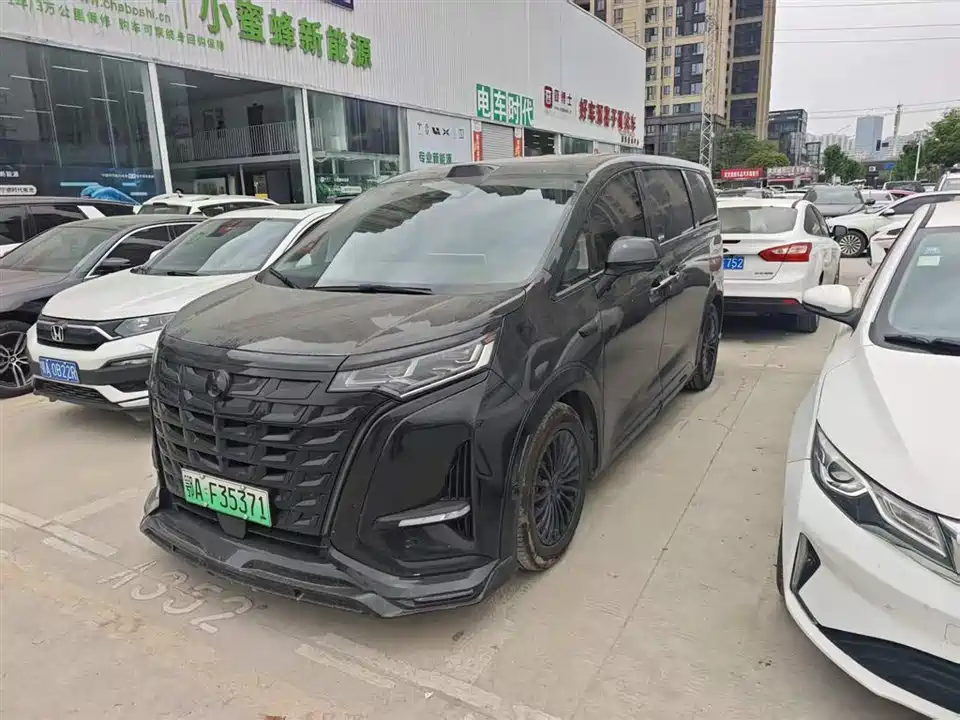 Denza D9