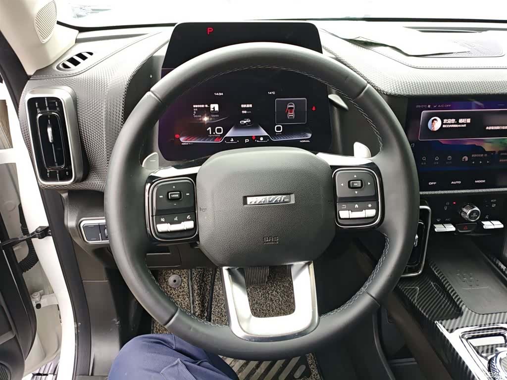 Haval Big Dog, 2021 11