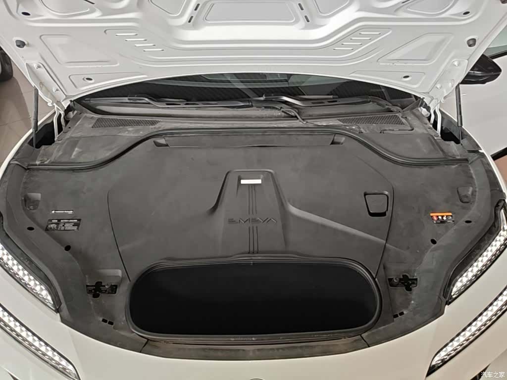 Lotus EMEYA, 2024 20