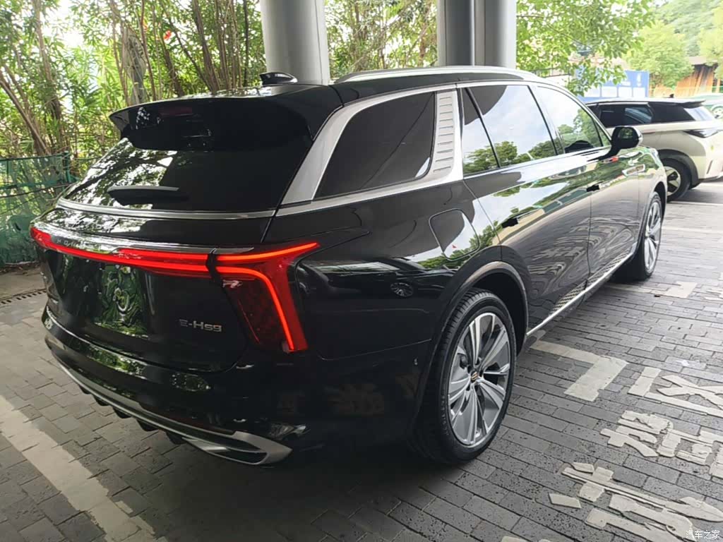 Hongqi E-HS9, 2023 7