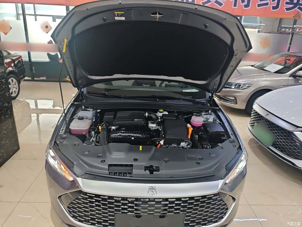 BYD Qin, 2024 20