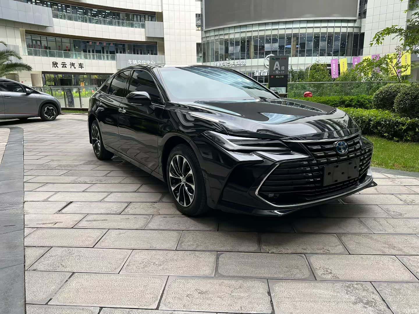 Toyota Avalon, 2023 3