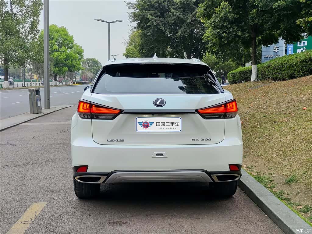 Lexus RX, 2021 все фото