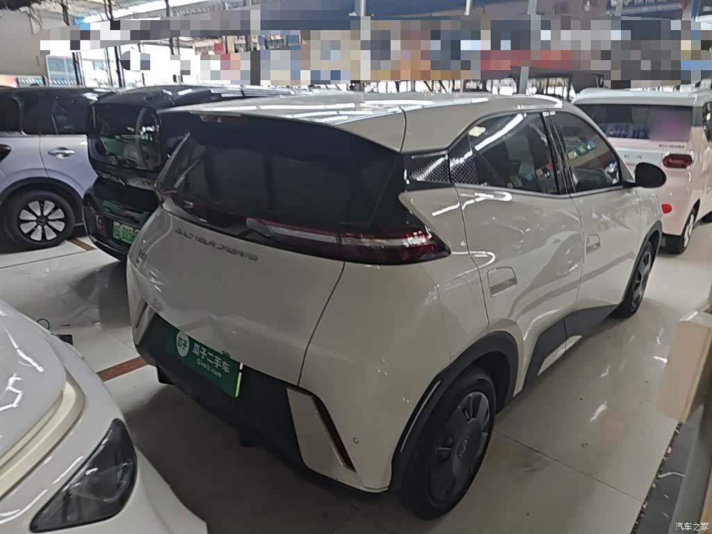 BYD Seagull, 2024 7