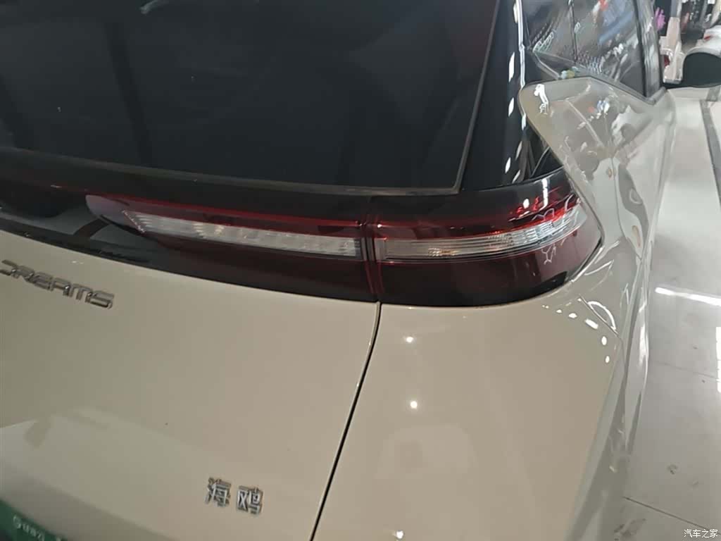 BYD Seagull, 2024 8