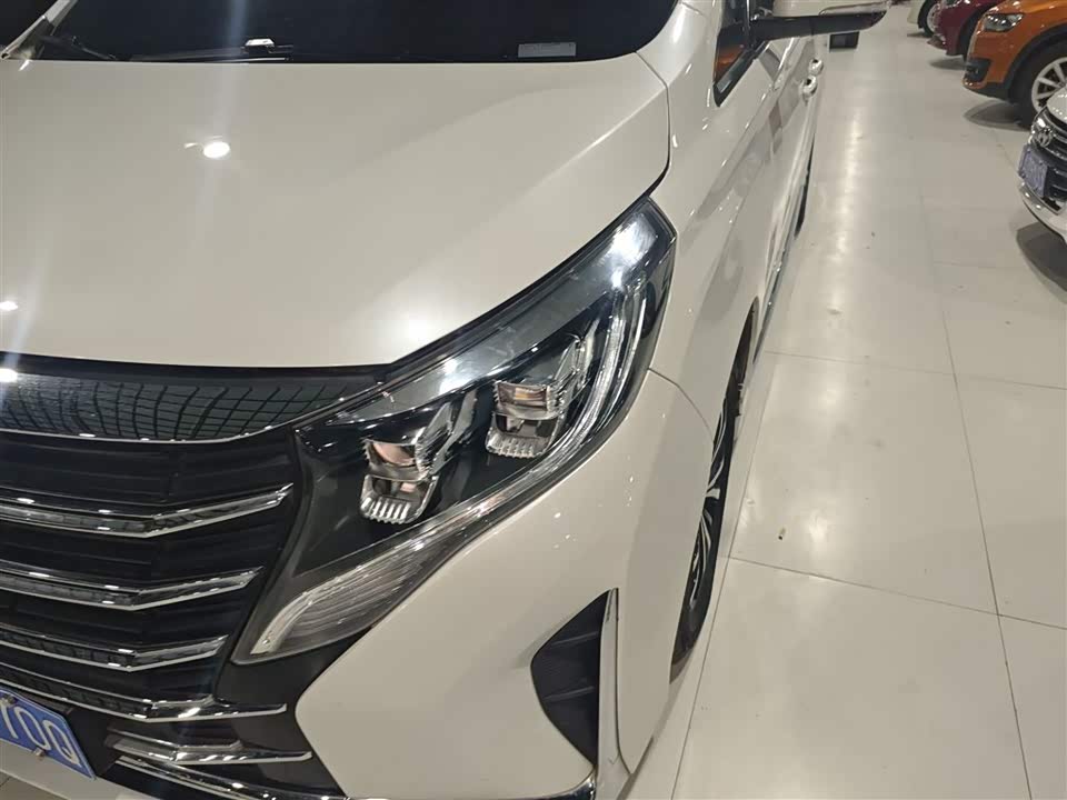 Trumpchi Trumpchi M8