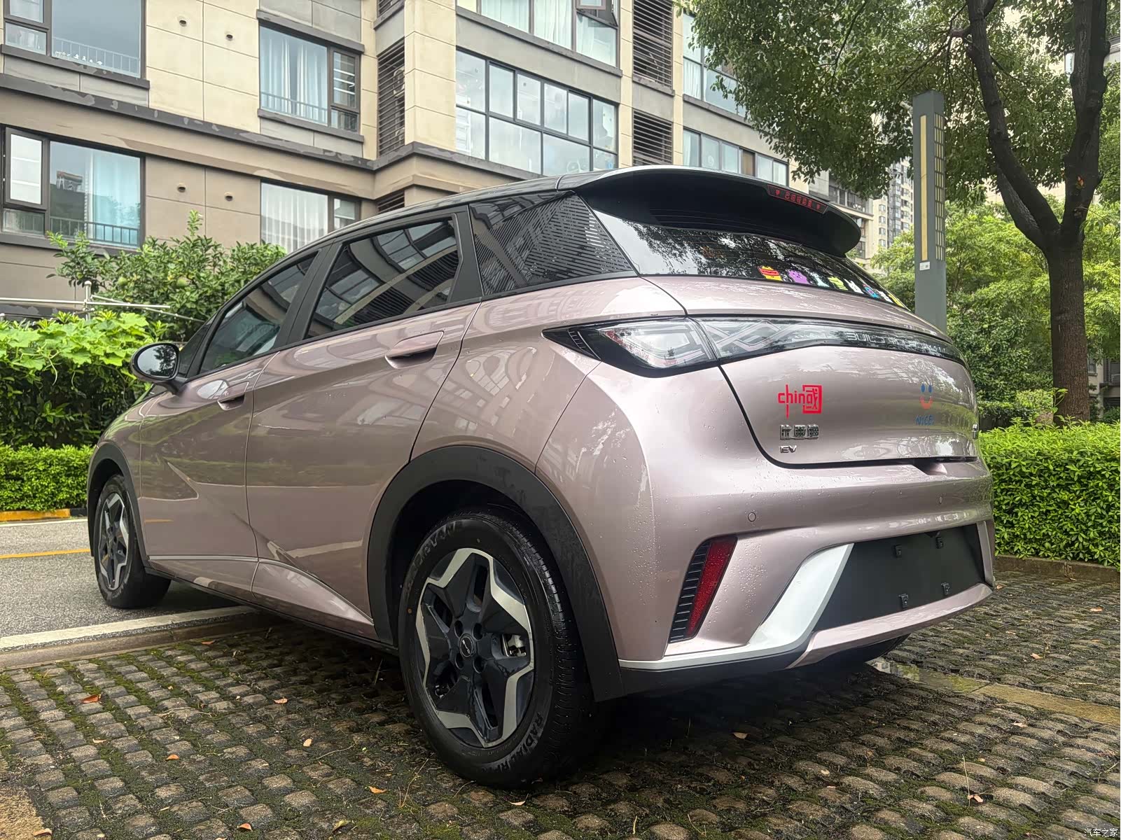 BYD Dolphin, 2021 6