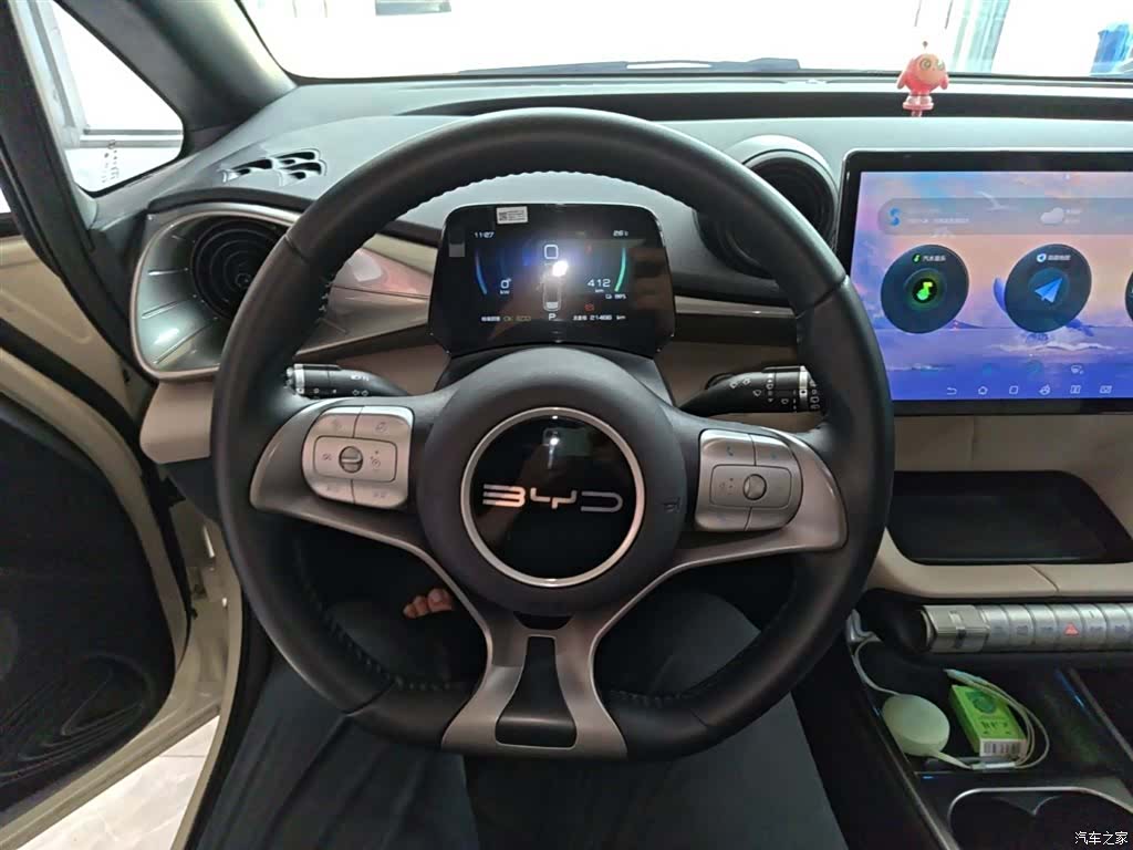 BYD Dolphin, 2024 11