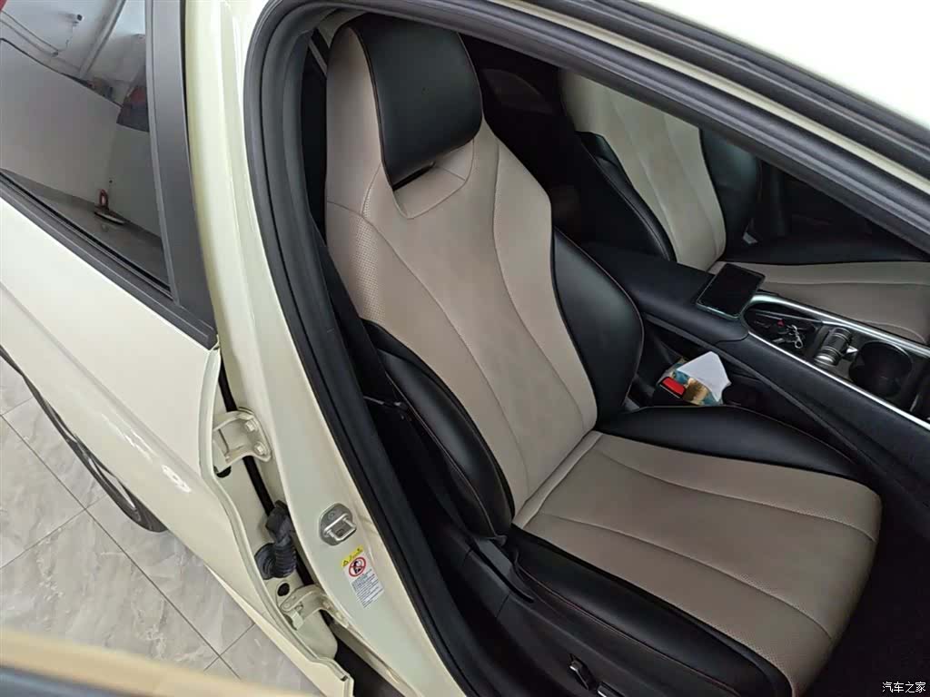 BYD Dolphin, 2024 25