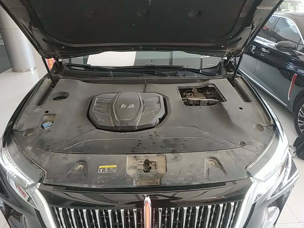 Hongqi HS5, 2023 20