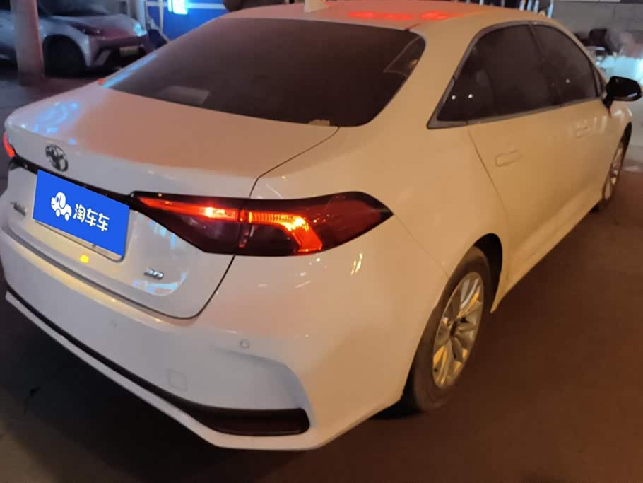 Toyota Asian lion