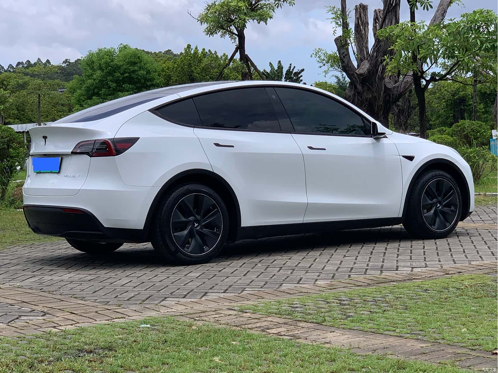 Tesla Model Y, 2022 все фото