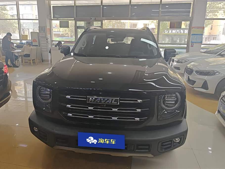 Haval Big dog