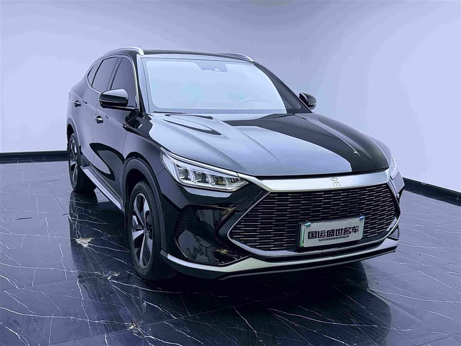 BYD Song PLUS New Energy 2022, фото 3