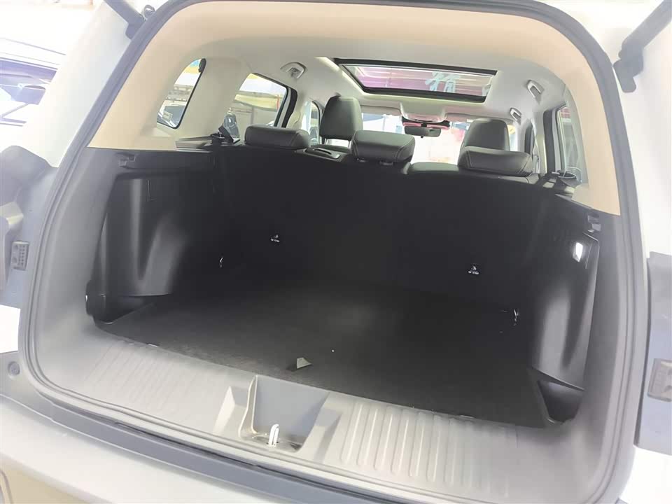Haval Big dog