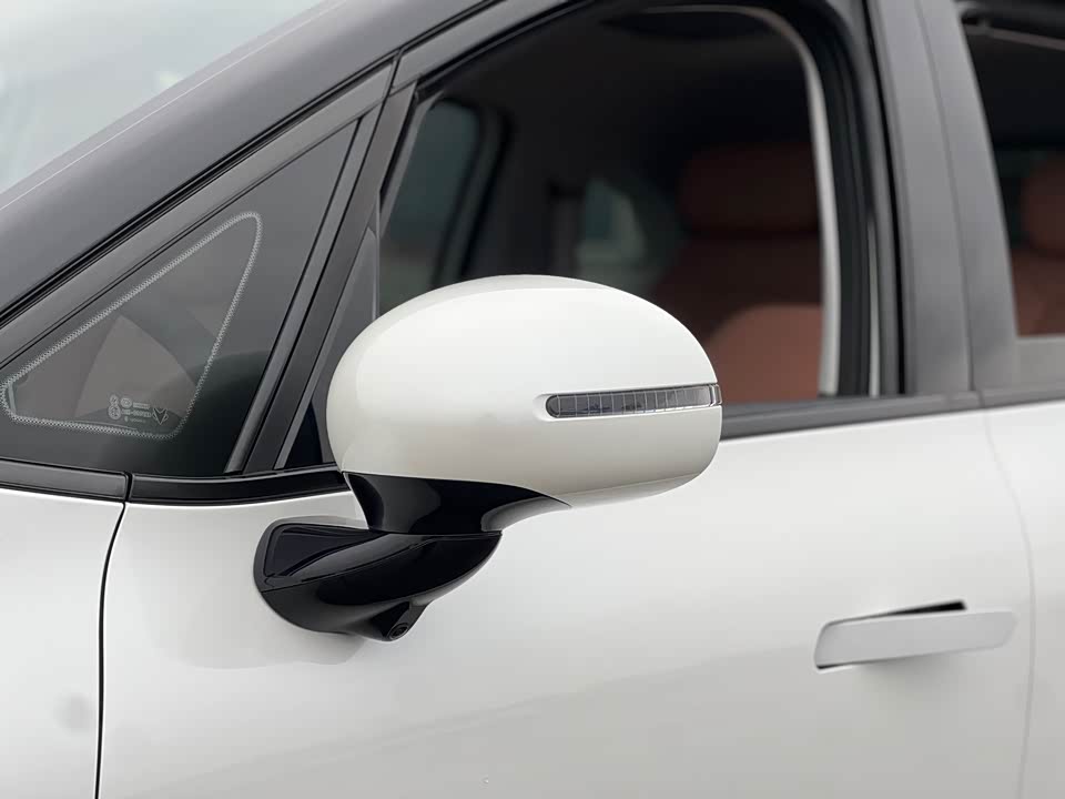 ARCFOX Polar fox koala