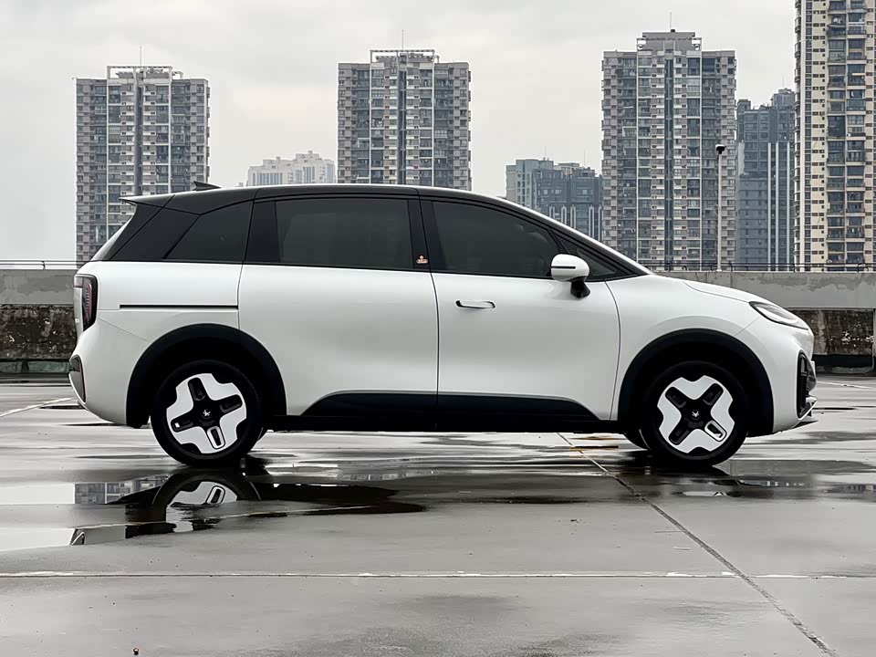 ARCFOX Polar fox koala