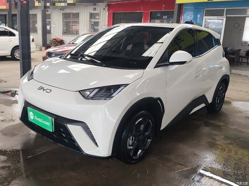 BYD Seagull, 2025 1