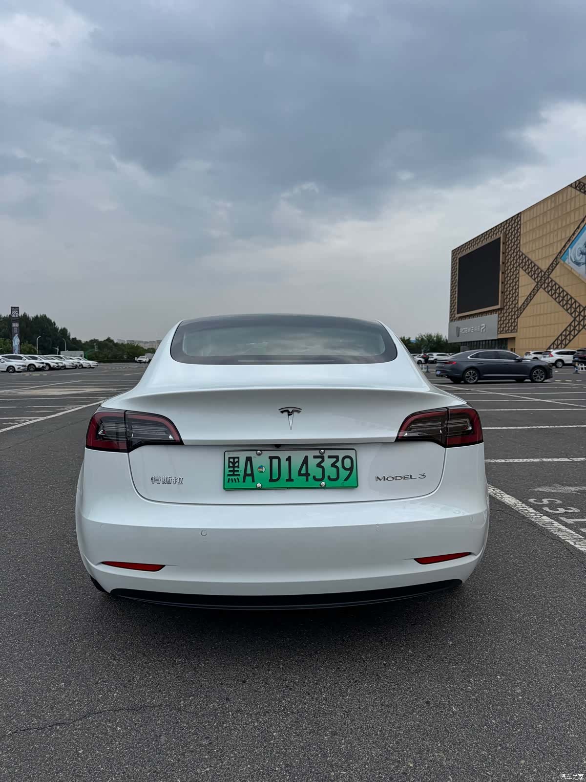 Tesla Model 3, 2021 18