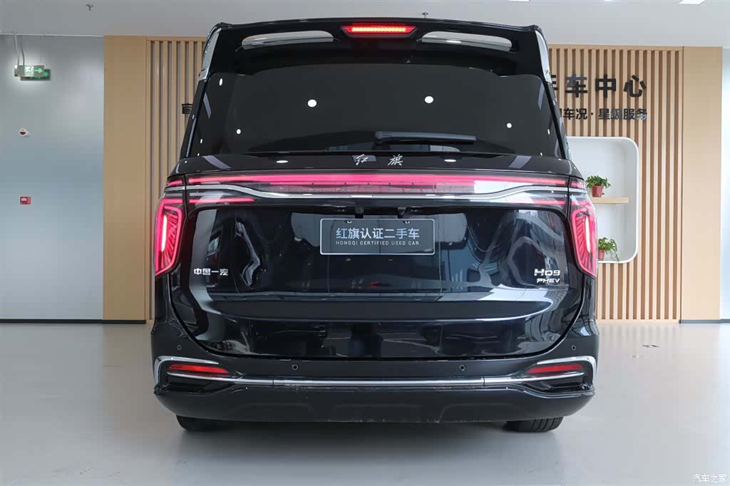Hongqi HQ9, 2024 все фото