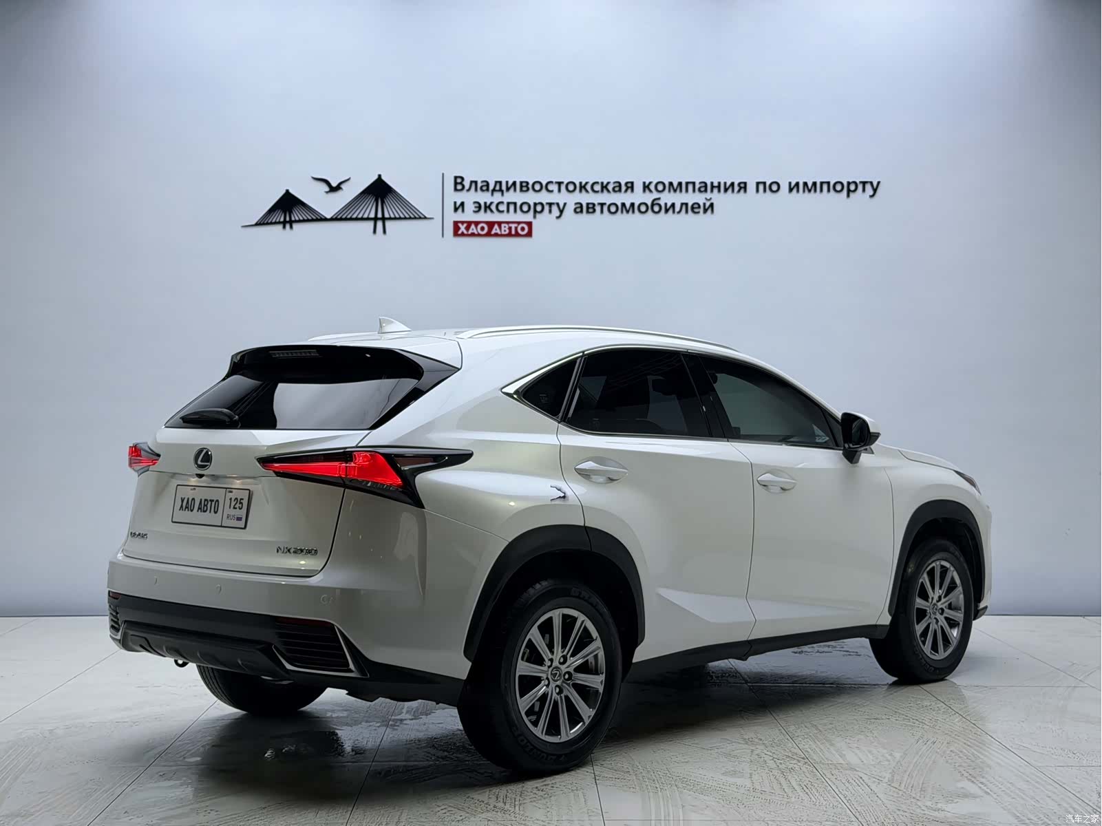 Lexus NX, 2019 6