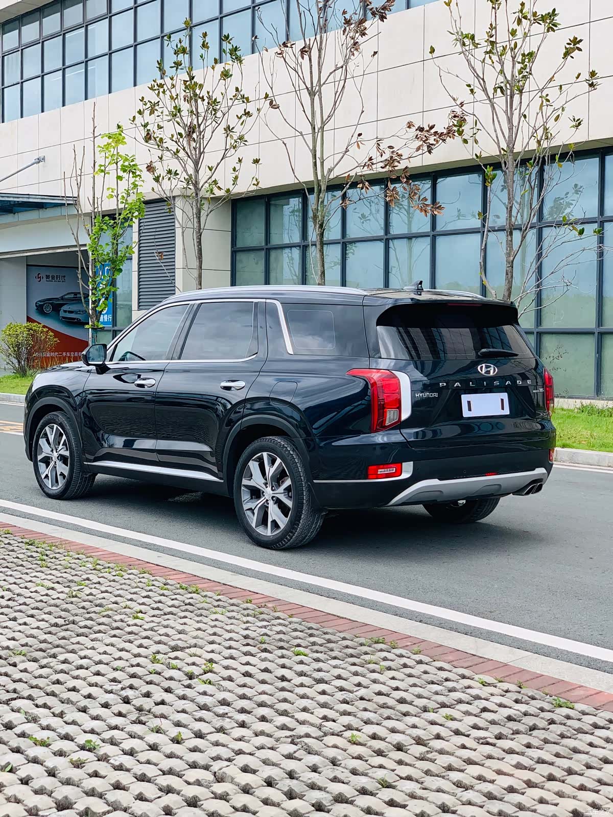Hyundai Palisade, 2021 6
