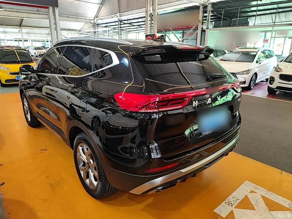 Haval H6, 2022 все фото