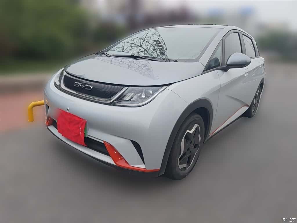 BYD Dolphin, 2021 1