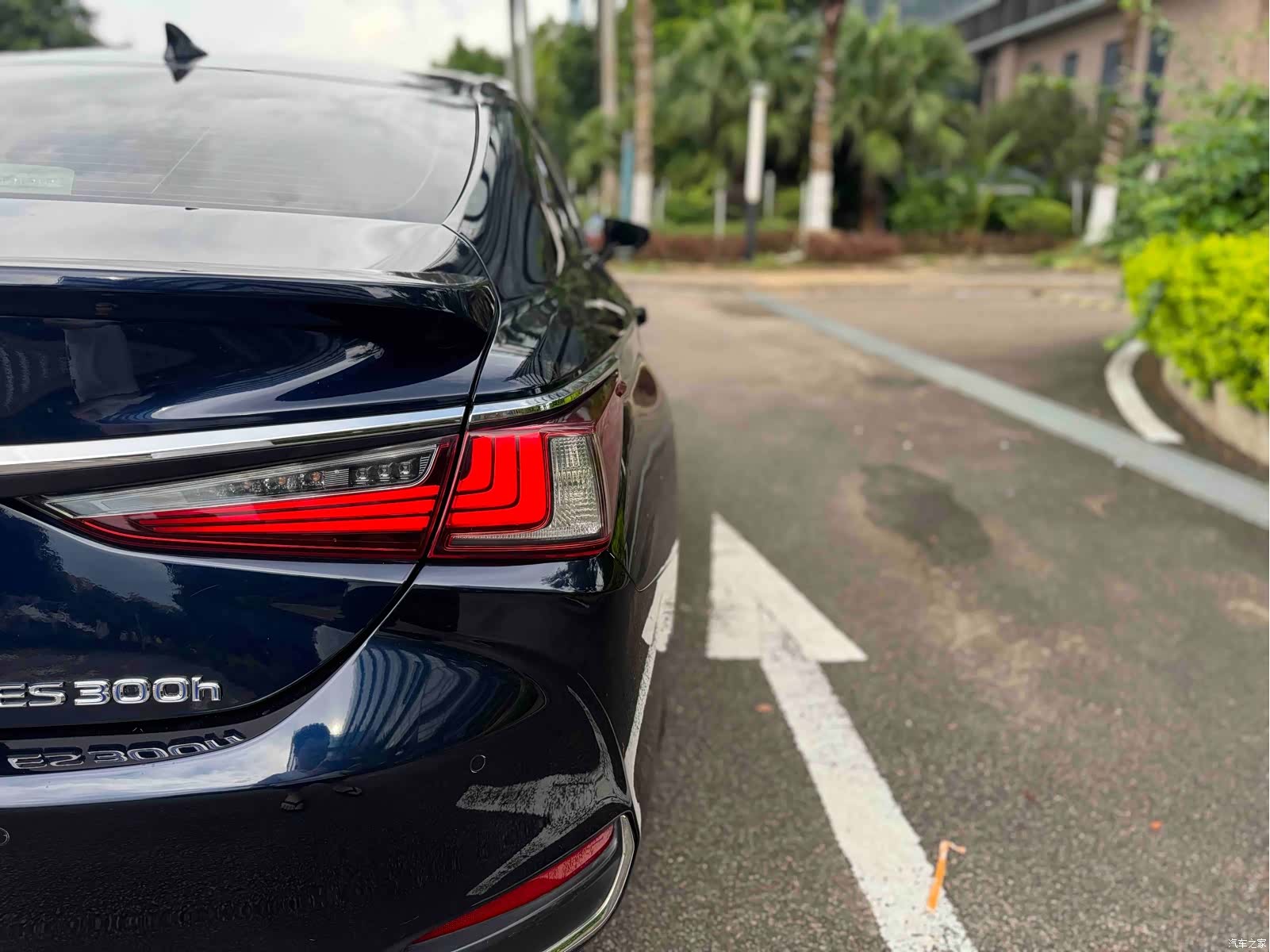 Lexus ES, 2020 22
