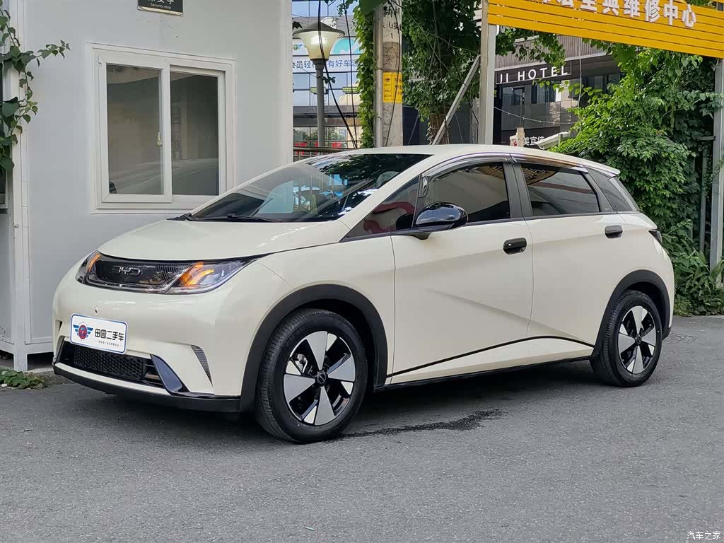 BYD Dolphin, 2024 1