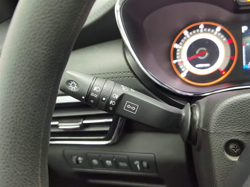 Leopaard Cheetah CS9