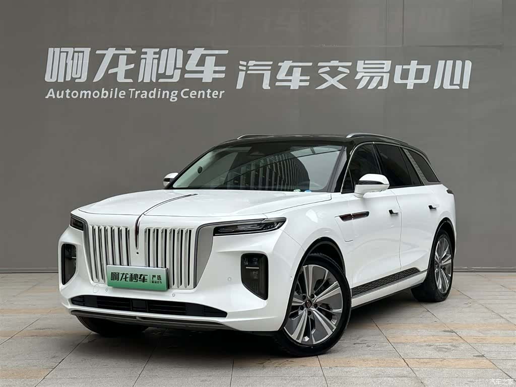 Hongqi E-HS9, 2023 1