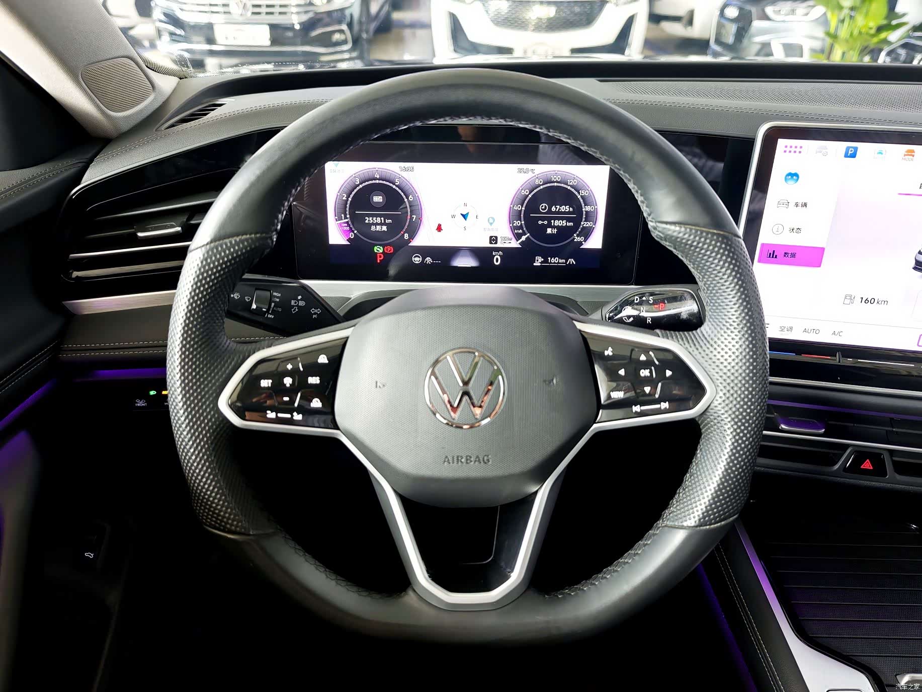 Volkswagen Magotan, 2024 8