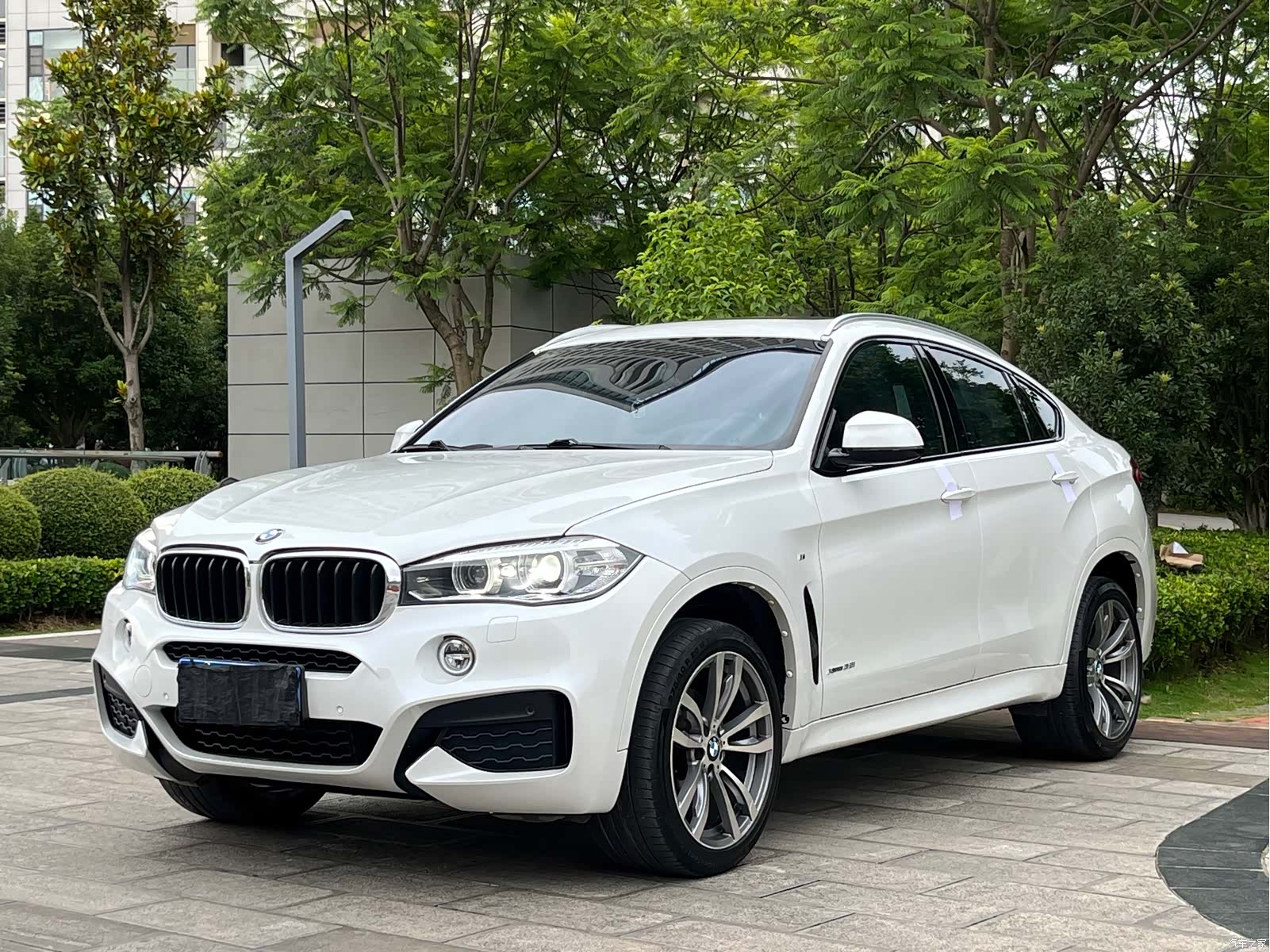 BMW X6, 2018 1