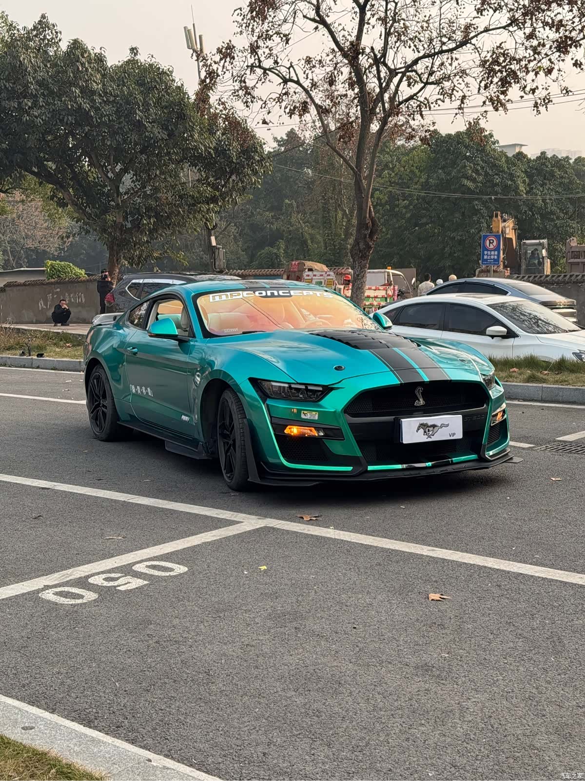 Ford Mustang, 2016 все фото