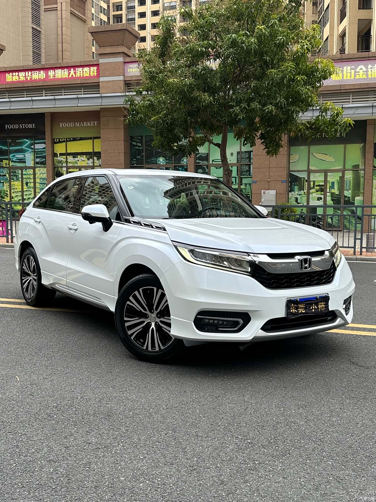 Honda Avancier, 2018 3