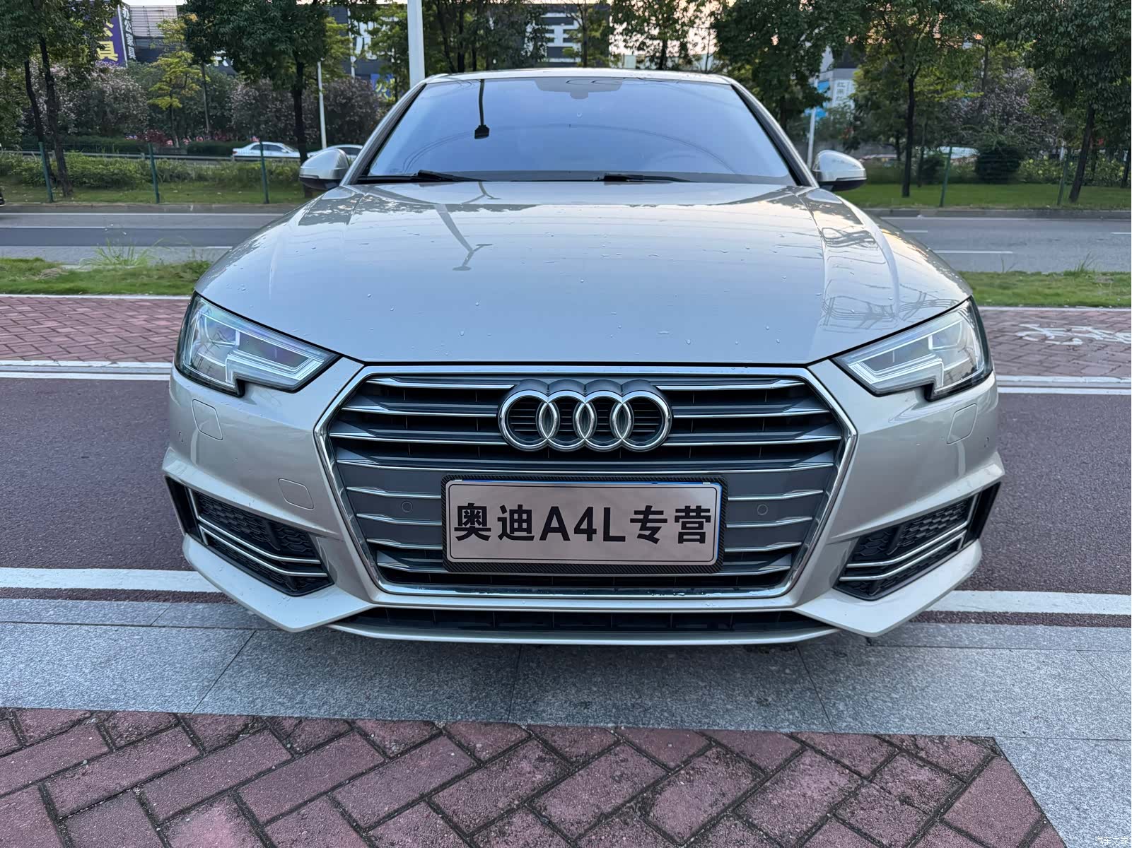 Audi A4L, 2018 2