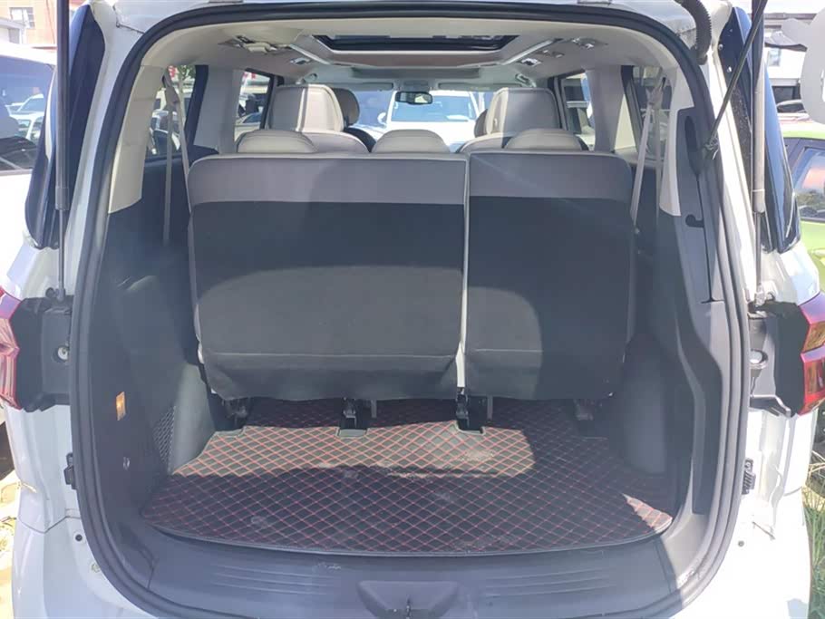 MAXUS Chase G20