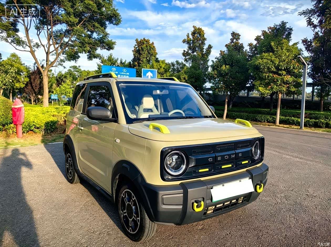 Geely Panda, 2025 3